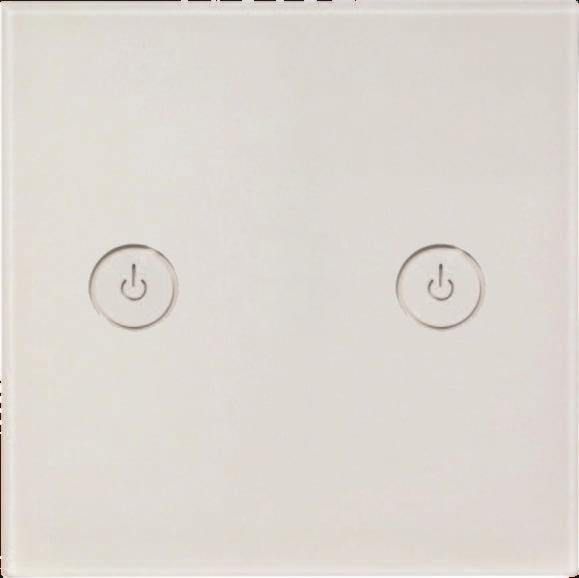 [DTW0008] WF2G-BS, BS 1G WiFi switch, 13A