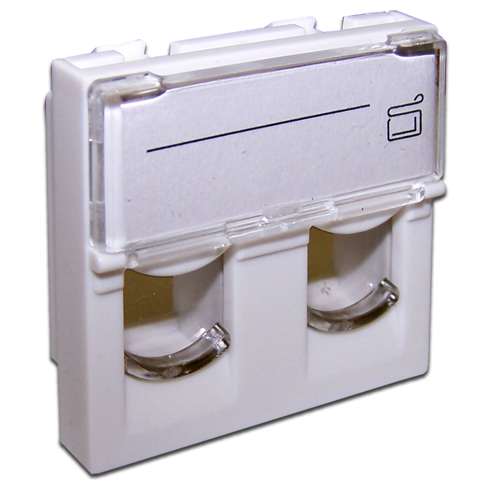 [741271571713] EFP-2CAT6, Dual Data port of RJ45 CAT6A, for PAVIX EFP-XM