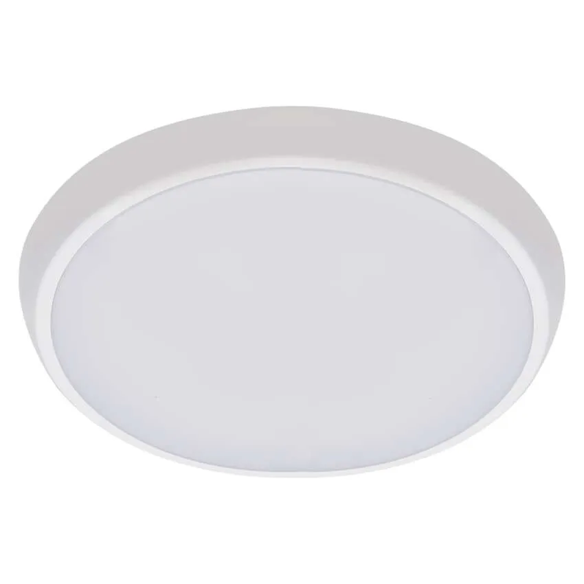 [1539402000] ZM3012, LED Ceiling lamp FLERI, round 20W, IP65, changeable CCT